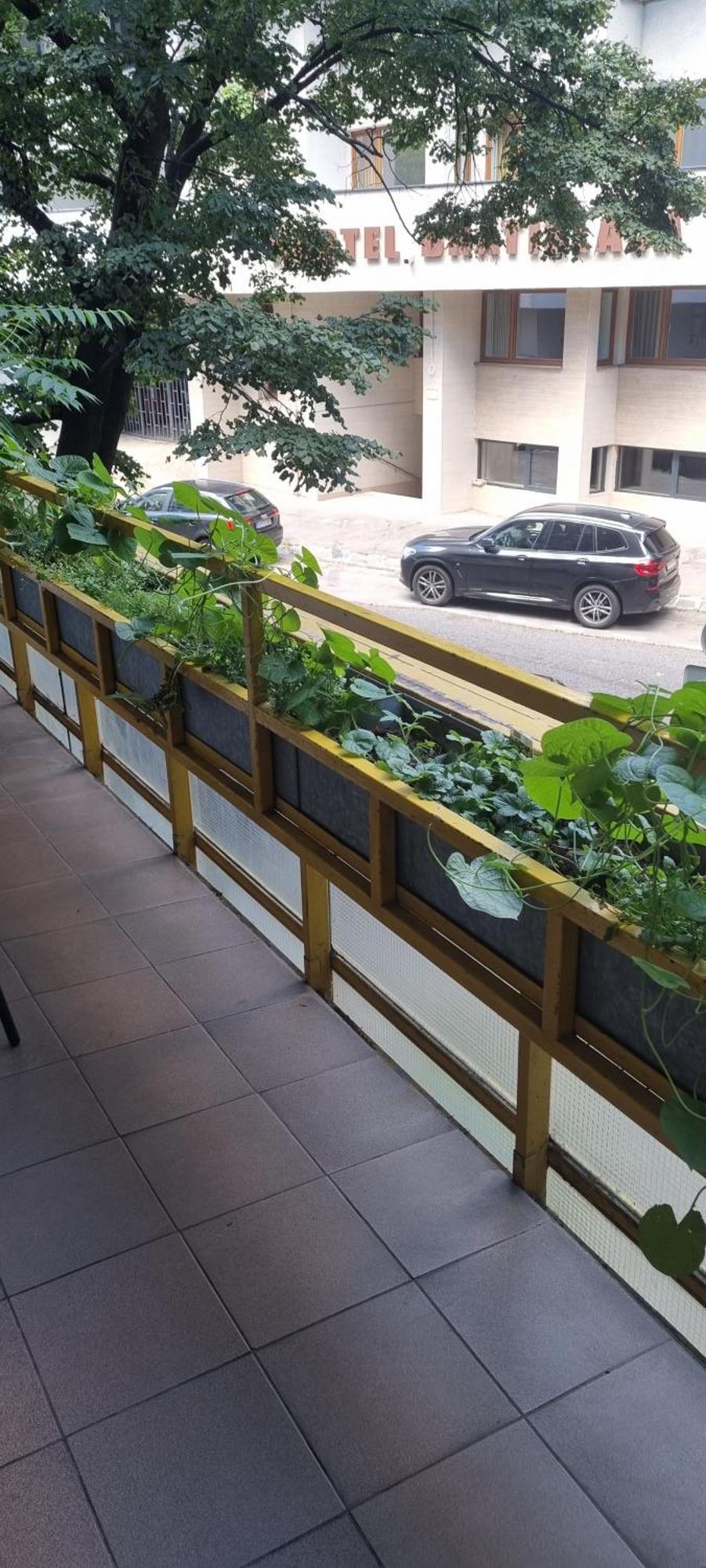 Appartamento Family Apartman V Centre Mesta Bratislava Esterno foto